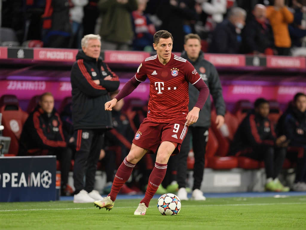 的引进显现 的引进显现