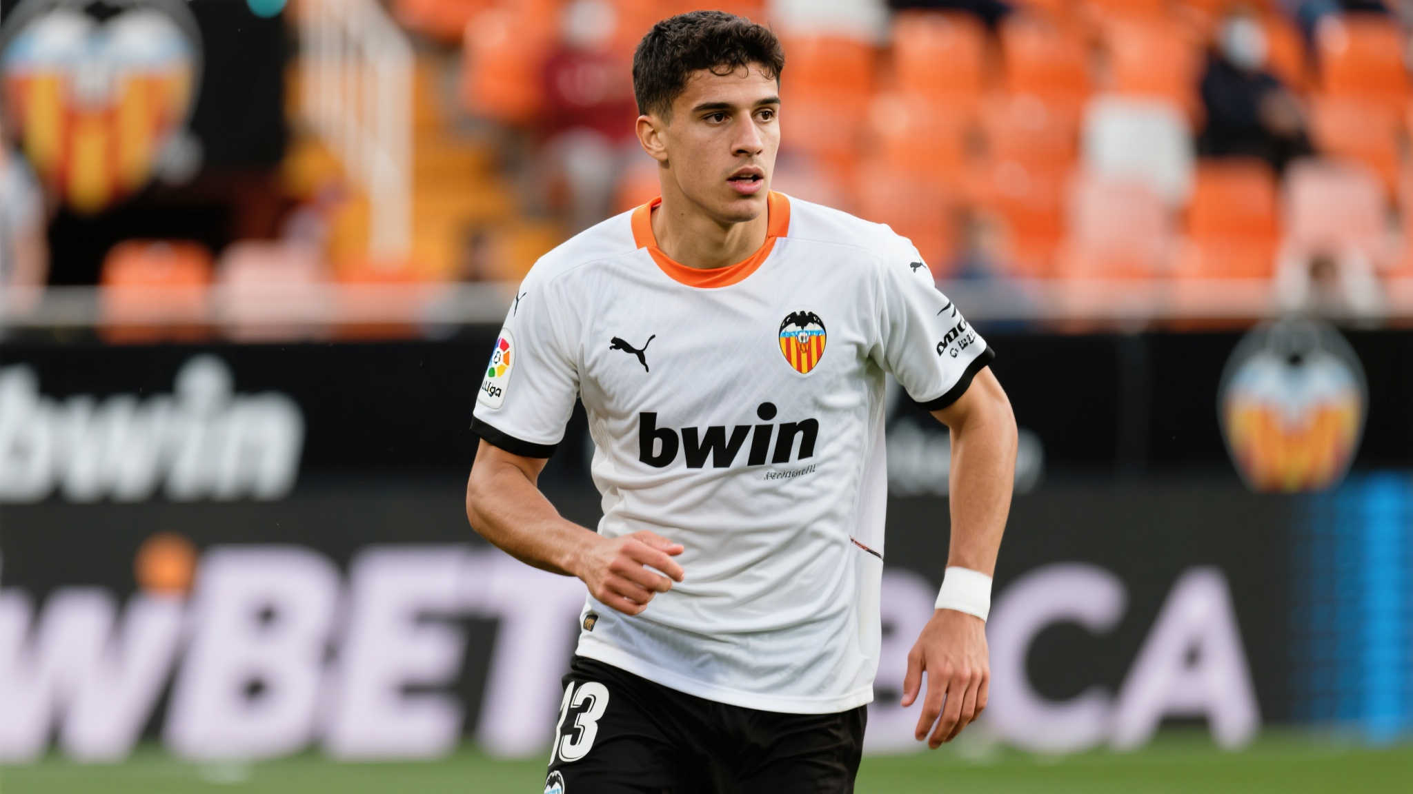 而黄松和辜 而黄松和辜