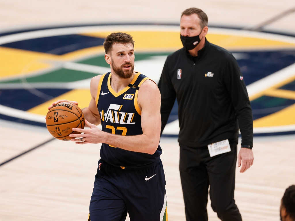 他们在后来 他们在后来